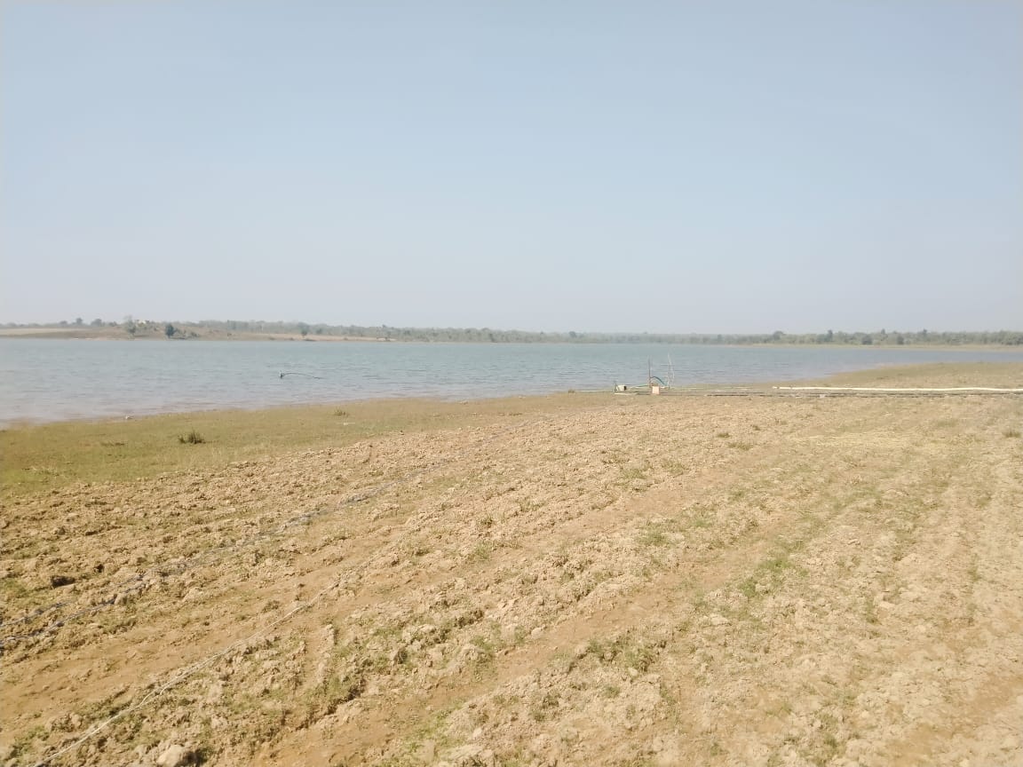 गुड न्यूज: किसानों के लिए वरदान बने दुर्गापुर के अमृत सरोवर