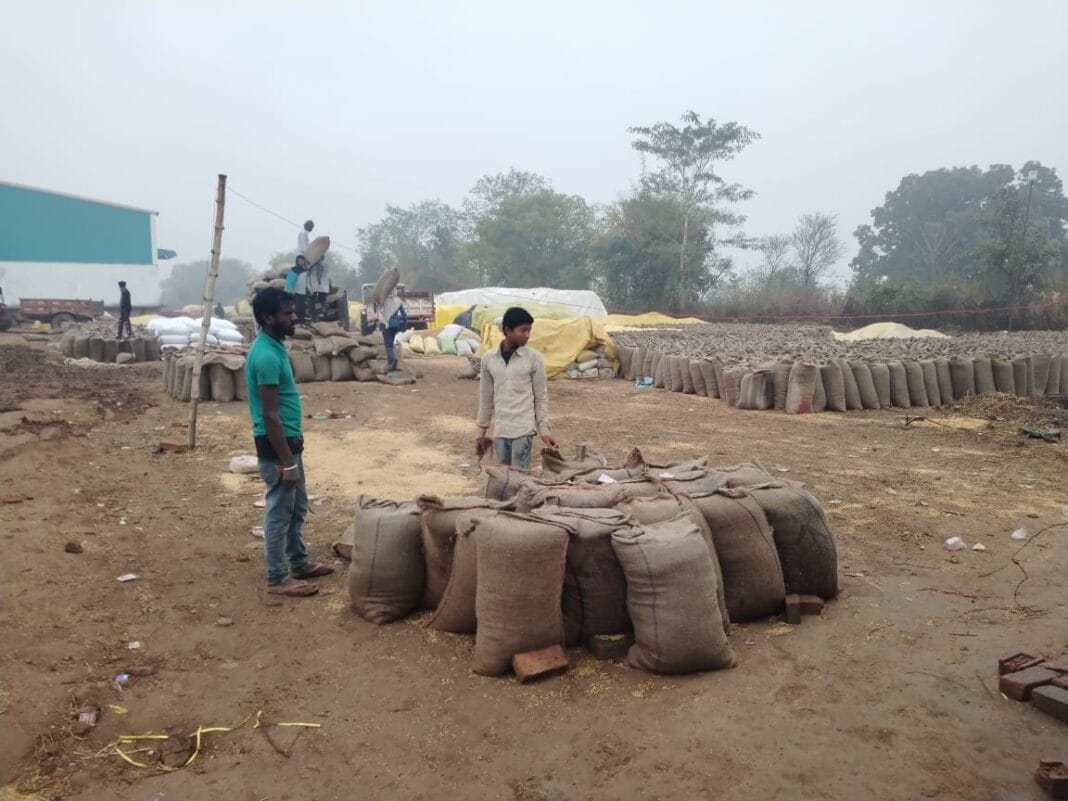खरीदी केन्द्रों में सड़ने की कगार पर पहुंची धान,खुले आसमान के नीचे रखी है डेढ़ लाख क्विंटल धान