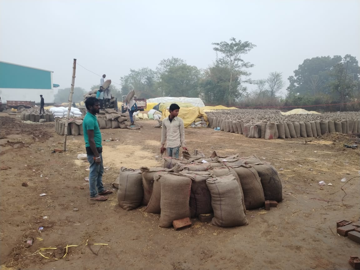 खरीदी केन्द्रों में सड़ने की कगार पर पहुंची धान,खुले आसमान के नीचे रखी है डेढ़ लाख क्विंटल धान