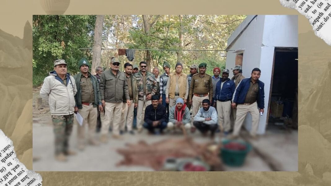 forest-department-caught-poachers-who-were-distributing-the-meat-of-sambhar/