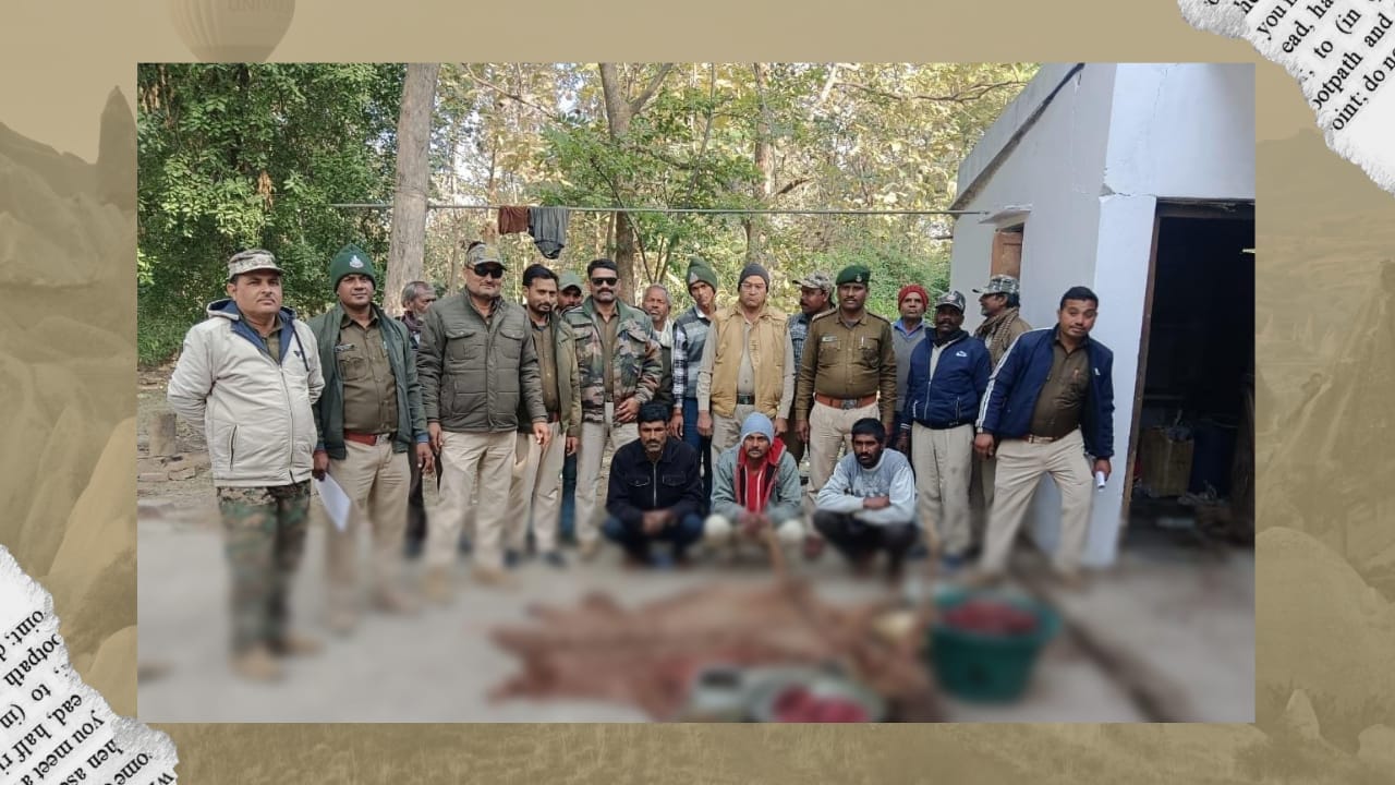 सांभर के मांस का हिस्सा बांट कर रहे शिकारियों को वन विभाग ने दबोचा