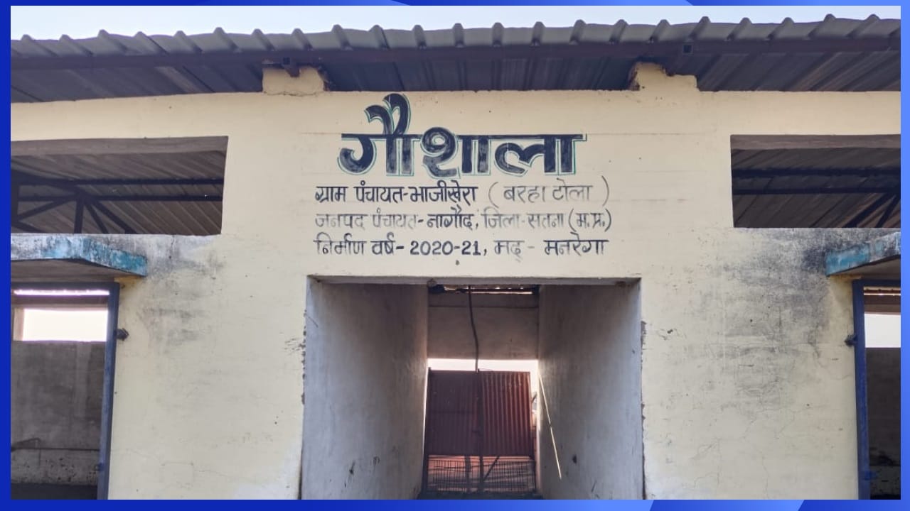 गौशाला से गौवंश गायब