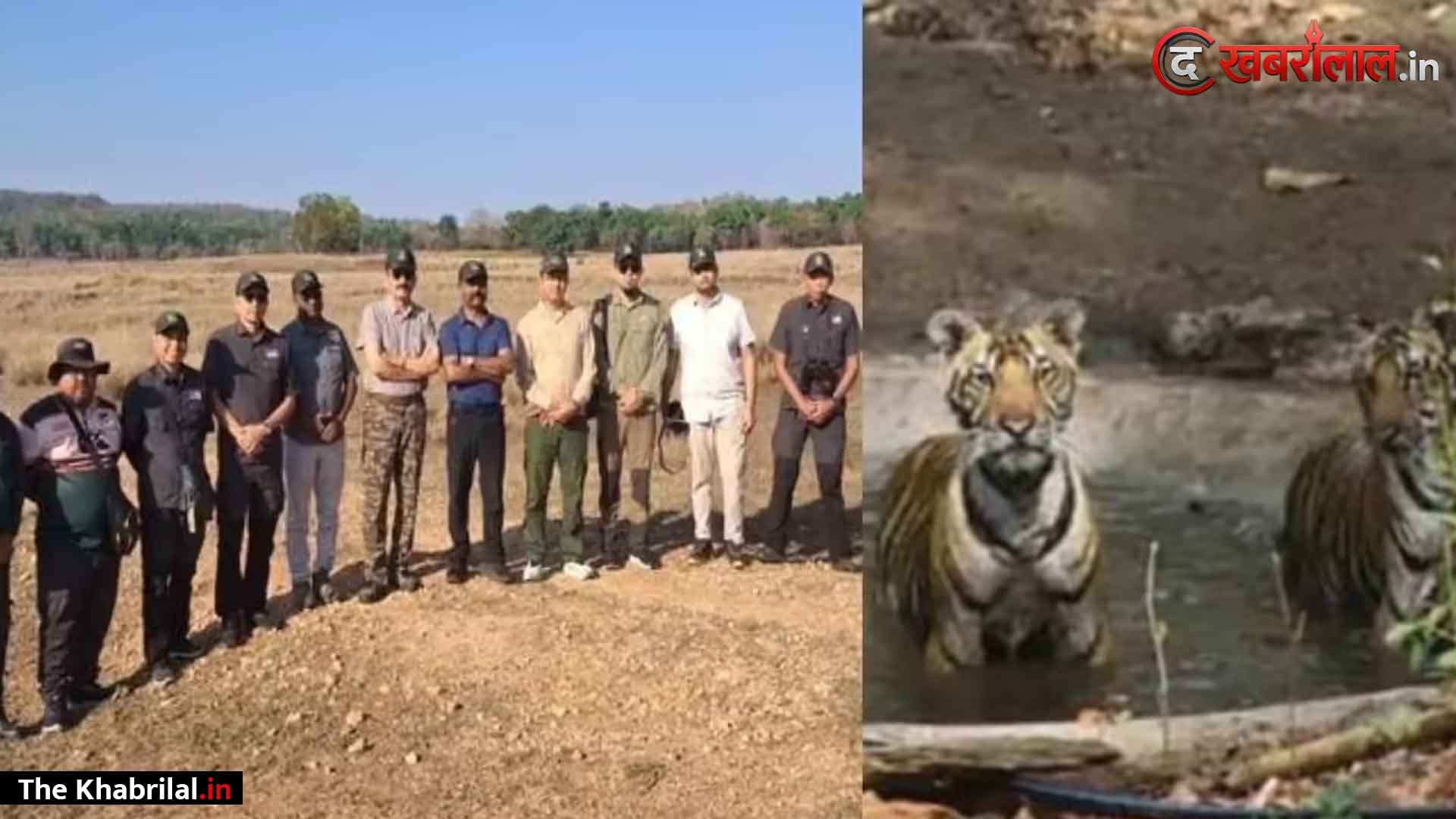 एमपी के ‘कान्हा’ मॉडल का मुरीद हुआ मलेशिया: अनाथ शावकों को ‘जंगल का राजा’ बनाने की तकनीक सीखेगा पड़ोसी देश; 7 सदस्यीय डेलिगेशन पहुंचा मंडला