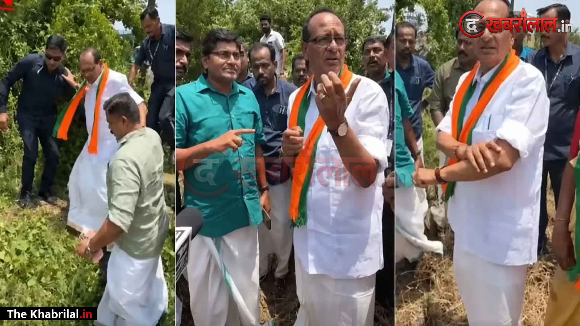 ‘मामा’ का साउथ इंडियन अवतार: लुंगी पहनकर ‘अन्ना स्टाइल’ में दिखे शिवराज सिंह चौहान; प्रोटोकॉल तोड़ कूदकर उतरे धान के खेत में, सादगी पर फिदा हुए लोग