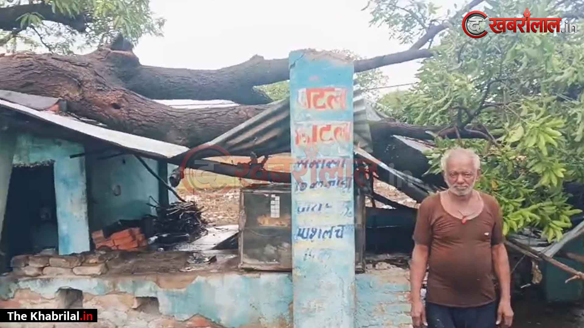रामनगर में कुदरत का कहर: तेज हवा और बारिश के बीच दुकान पर गिरा विशाल आम का पेड़; बाबूलाल पटेल की दुकान जमींदोज, लाखों का नुकसान