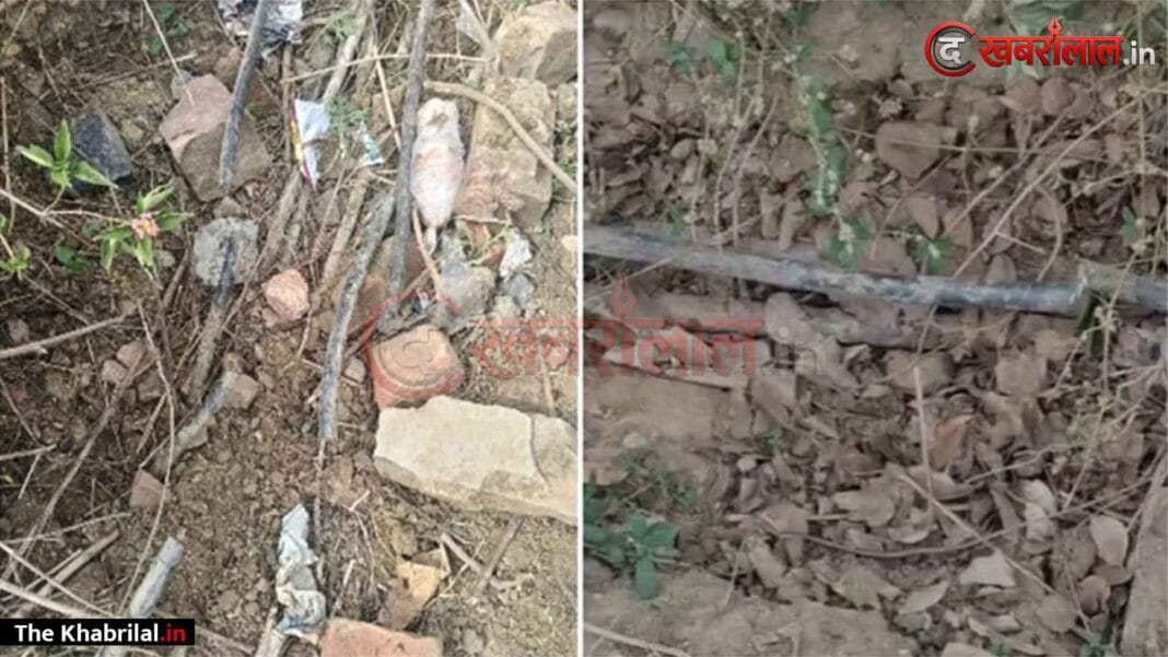 मुंबई-हावड़ा रेल मार्ग पर बड़ा संकट: लगरगवां के पास सिग्नल वायर काटने से अप-डाउन की 19 ट्रेनें प्रभावित; आरपीएफ ने सतना की 2 महिलाओं को रंगे हाथों दबोचा मुंबई-हावड़ा रेल मार्ग पर बड़ा संकट: लगरगवां के पास सिग्नल वायर काटने से अप-डाउन की 19 ट्रेनें प्रभावित; आरपीएफ ने सतना की 2 महिलाओं को रंगे हाथों दबोचा