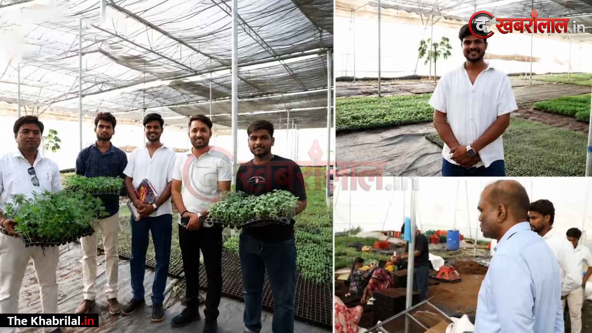 पढ़ाई के बाद नहीं मिली नौकरी तो गांव में ही खड़ा किया नर्सरी का बिजनेस; सीमित संसाधनों से शुरू कर अब हर महीने ₹3 लाख तक कमा रहे दो सगे भाई