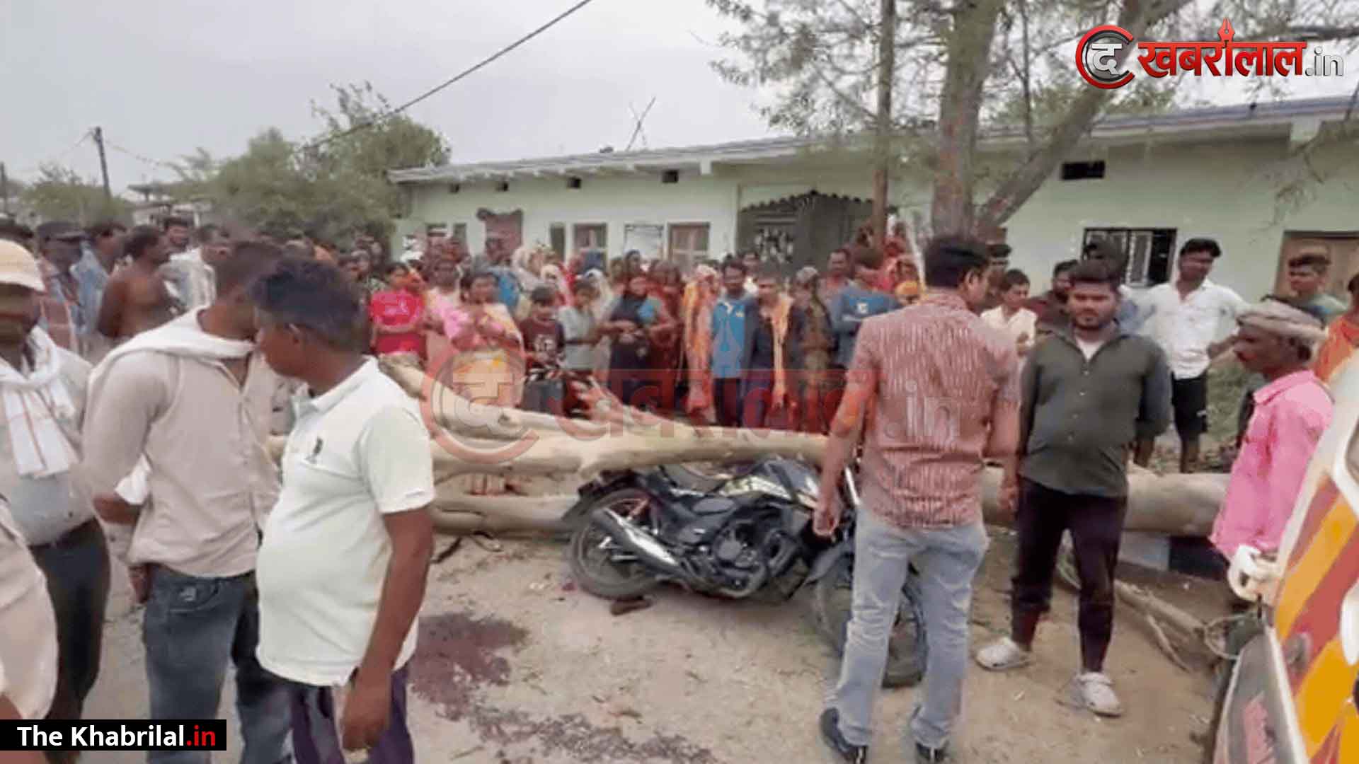 मैहर दर्शन के लिए आ रहे बाइक सवारों पर काल बनकर गिरा भारी-भरकम पेड़! युवक और युवती की दर्दनाक मौत, दो लड़कियां गंभीर रूप से घायल