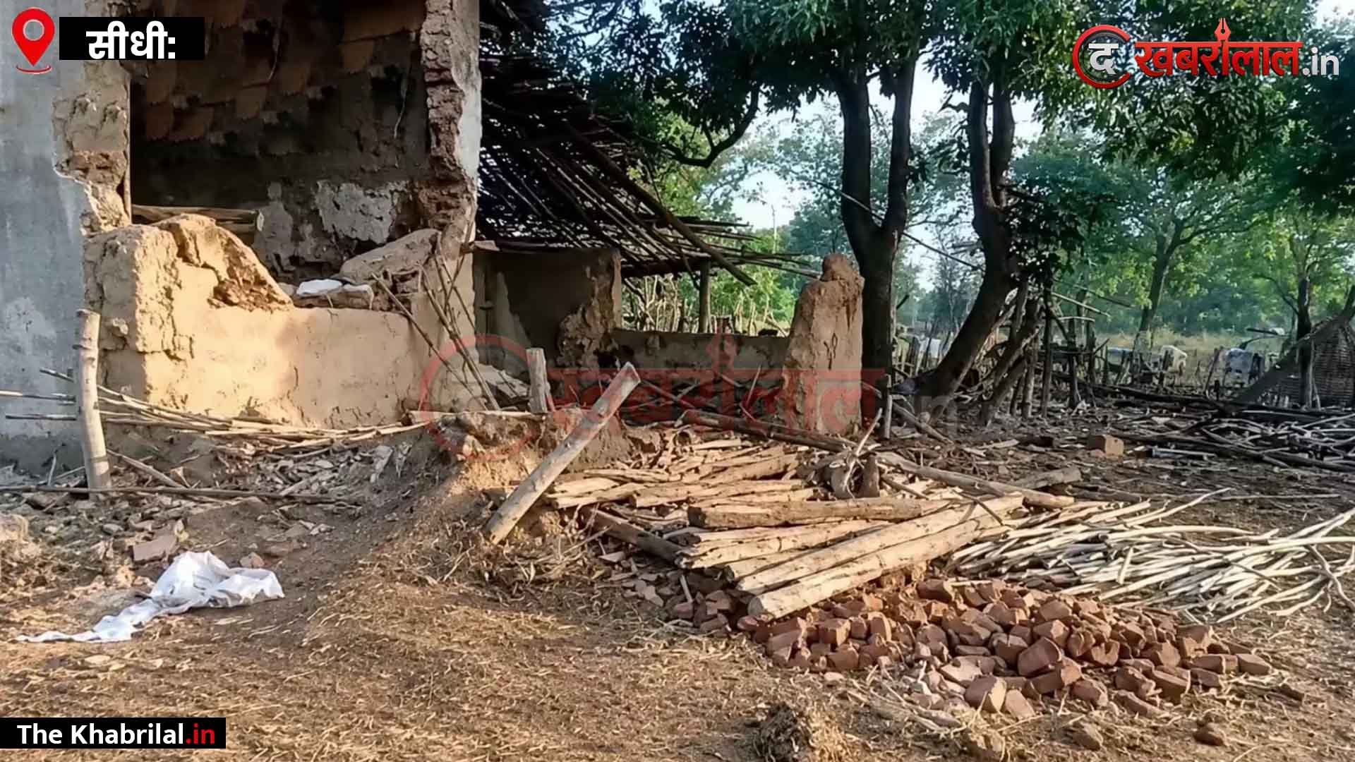 सीधी में हाथियों का तांडव: रात 2 बजे घर घेरकर बुजुर्ग पति-पत्नी को उतारा मौत के घाट; फूटा ग्रामीणों का गुस्सा, शव उठाने से किया इनकार