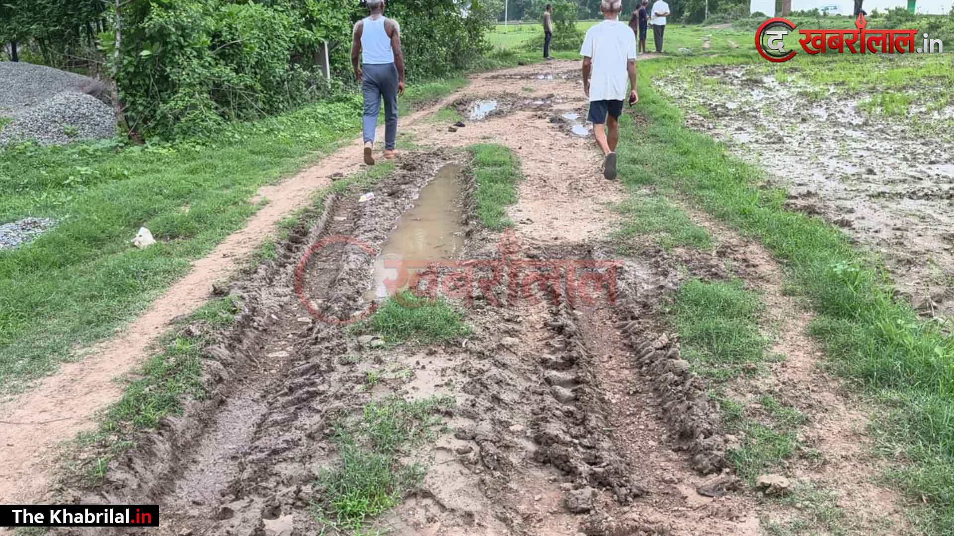 कीचड़ में कैद विकास: मैहर के रूँगवा खुथी टोला में सड़क के अभाव में हर दिन संघर्ष; बारिश में स्कूल से अस्पताल तक का टूटा संपर्क, 50 परिवार पक्की सड़क की राह में