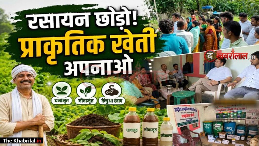 मऊगंज में प्राकृतिक खेती को बढ़ावा: किसानों को घनामृत व जीवामृत अपनाने की सलाह; 31 जुलाई तक फसल बीमा कराने की अपील मऊगंज में प्राकृतिक खेती को बढ़ावा: किसानों को घनामृत व जीवामृत अपनाने की सलाह; 31 जुलाई तक फसल बीमा कराने की अपील