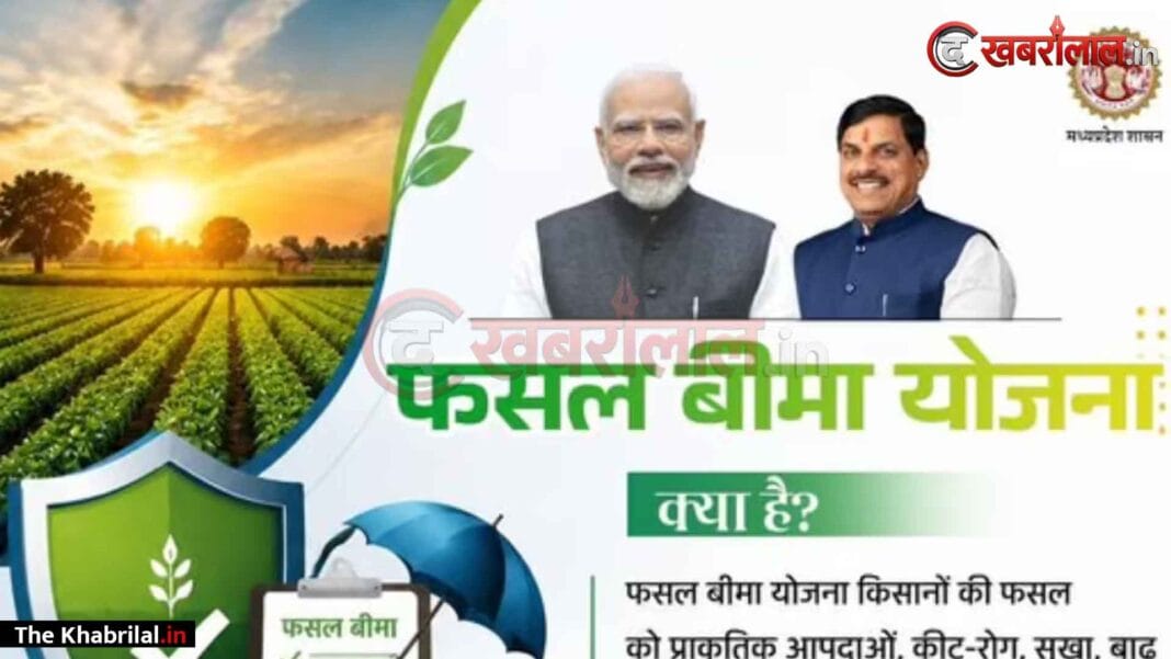 मध्य प्रदेश के 10.54 लाख किसानों के खातों में पहुँची फसल बीमा की राशि, सीएम डॉ. मोहन यादव ने सिंगल क्लिक से ट्रांसफर किए ₹1,460.25 करोड़; जगदीशपुर कैबिनेट के तुरंत बाद अन्नदाताओं को बड़ी सौगात मध्य प्रदेश के 10.54 लाख किसानों के खातों में पहुँची फसल बीमा की राशि, सीएम डॉ. मोहन यादव ने सिंगल क्लिक से ट्रांसफर किए ₹1,460.25 करोड़; जगदीशपुर कैबिनेट के तुरंत बाद अन्नदाताओं को बड़ी सौगात