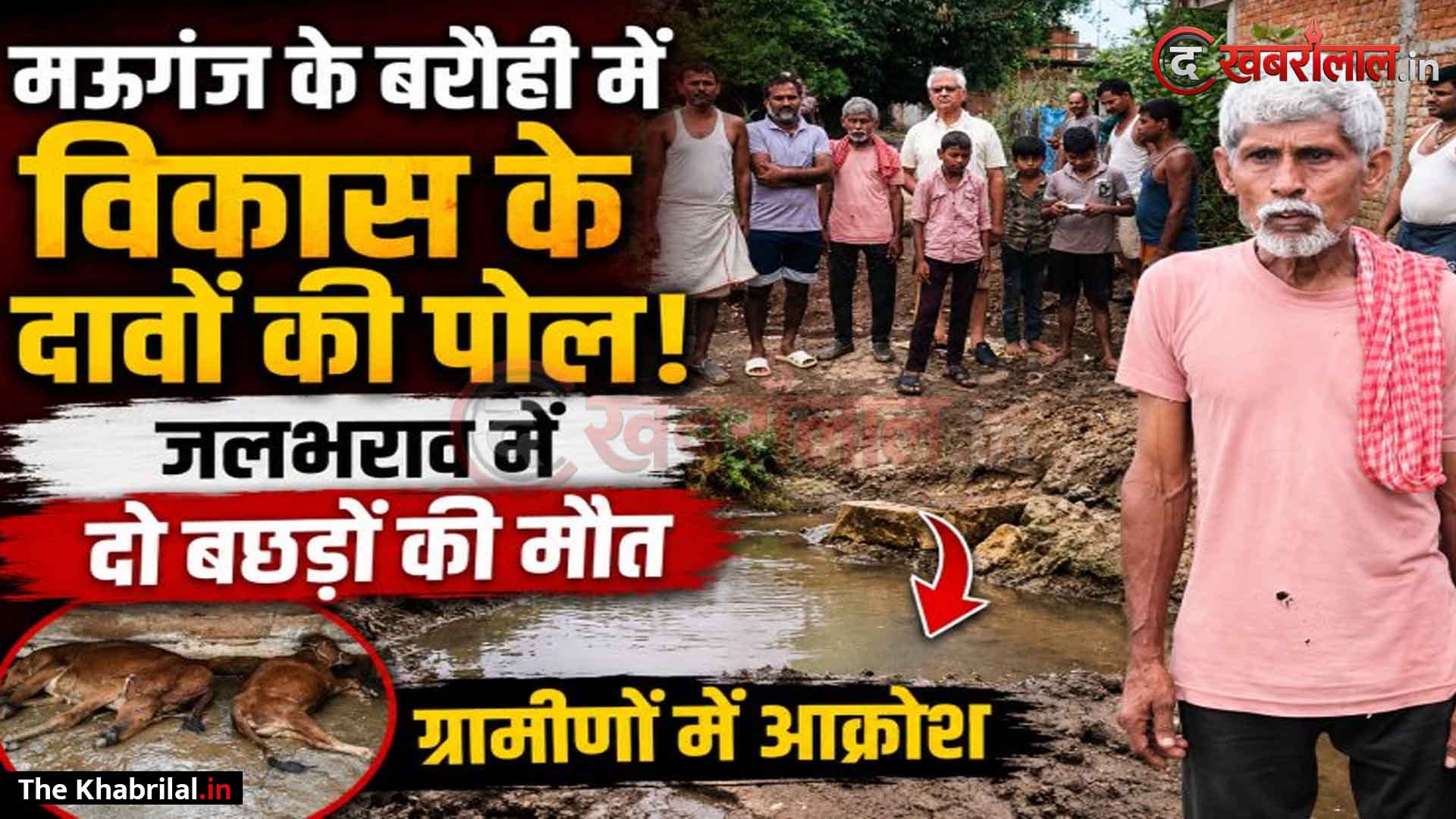 मऊगंज में पहली ही बारिश ने खोली विकास के दावों की पोल, जलभराव के कारण डूबने से दो बछड़ों की दर्दनाक मौत: सरपंच प्रतिनिधि बोले- ‘बजट नहीं है, ४ महीने बाद देखेंगे’; पीड़ित ने खुद सड़क खोदकर निकाला पानी