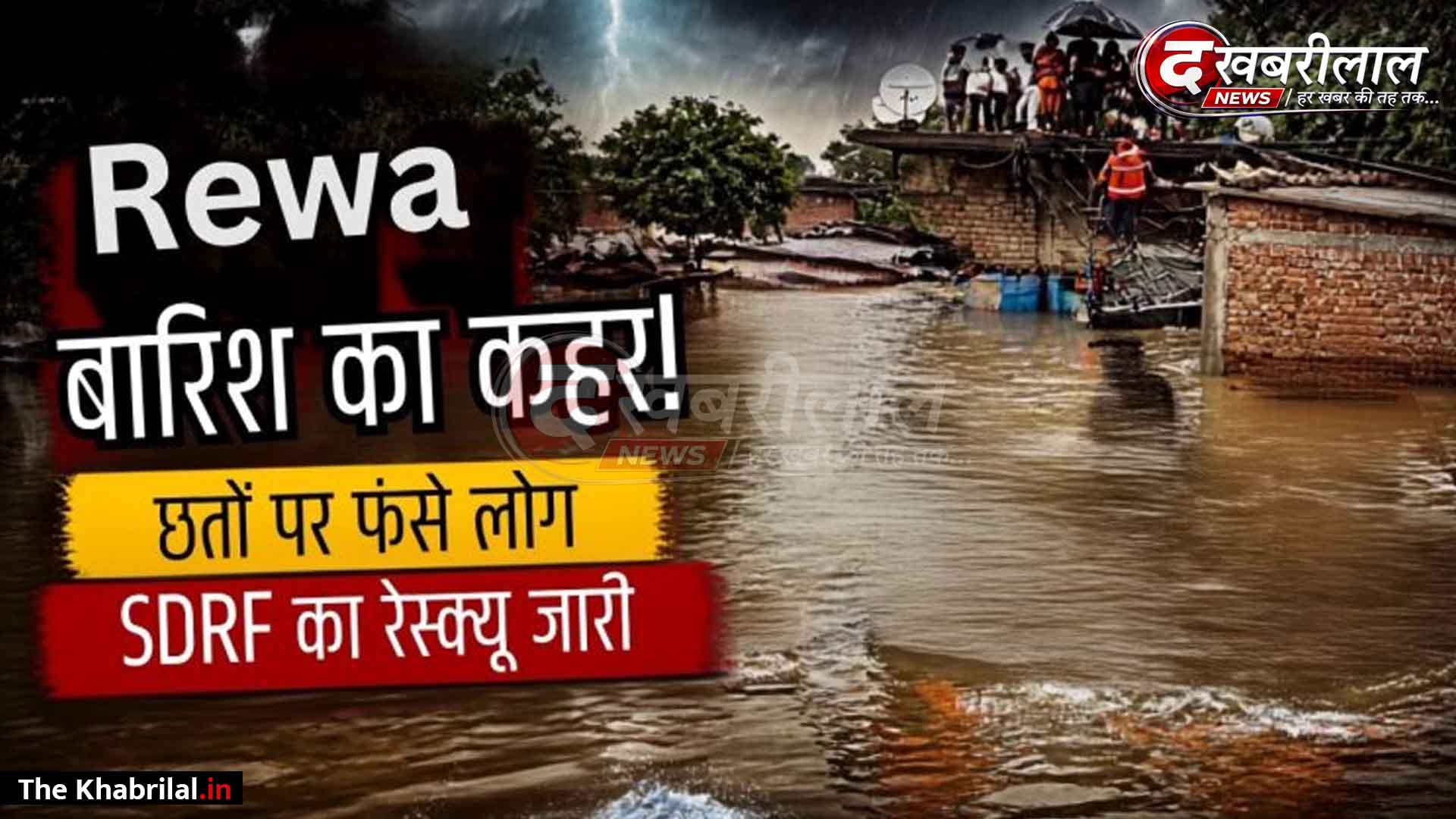 रीवा में मूसलाधार बारिश से बिगड़े हालात: कई बस्तियां जलमग्न, छतों पर फंसे लोग; SDRF ने संभाला मोर्चा, नावों के जरिए रेस्क्यू जारी