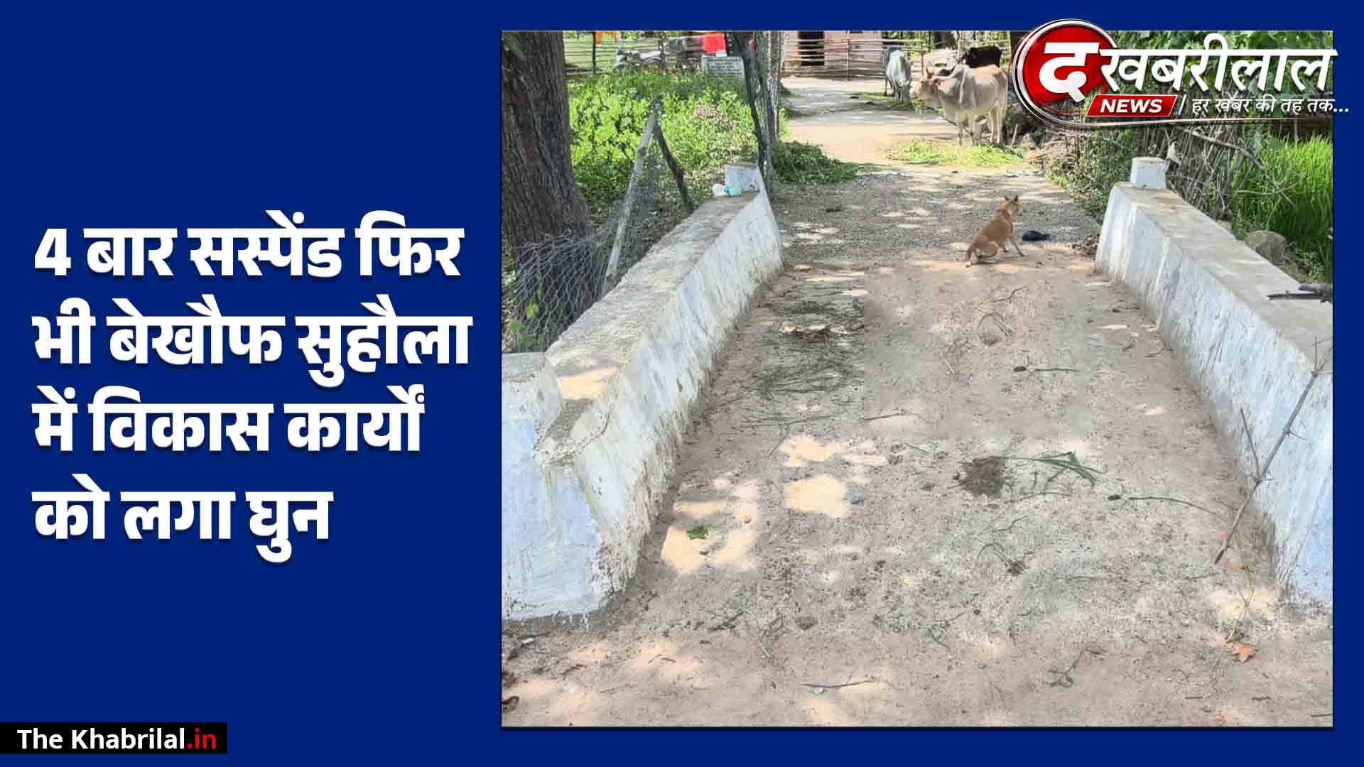 ग्राम पंचायत सुहौला में विकास कार्यों पर उठे गंभीर सवाल: पुल निर्माण में तकनीकी मानकों की अनदेखी और 2 महीने में उखड़ी सड़क; विवादों में घिरे सचिव अवधेश सिंह