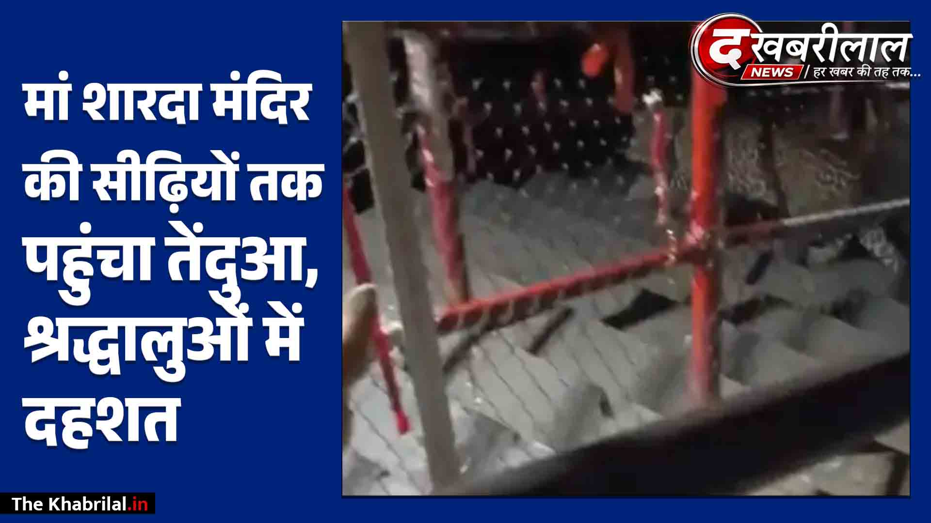 मैहर में मां शारदा मंदिर के सीढ़ी मार्ग पर पहुंचा तेंदुआ: कुत्ते का पीछा करते CCTV में कैद; श्रद्धालुओं में मची दहशत