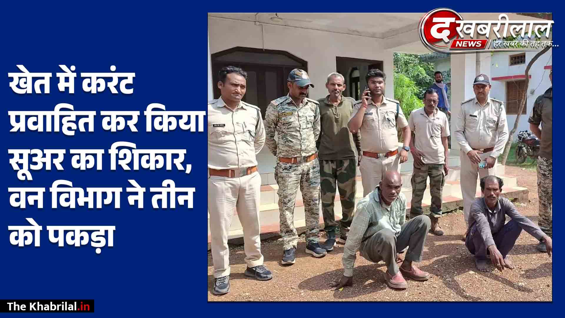 सतना के दुदुआर में फेंसिंग में करंट दौड़ाकर जंगली सूअर का शिकार: 3 आरोपी गिरफ्तार, घर से उबला व पका मांस जब्त; कोर्ट ने भेजा जेल