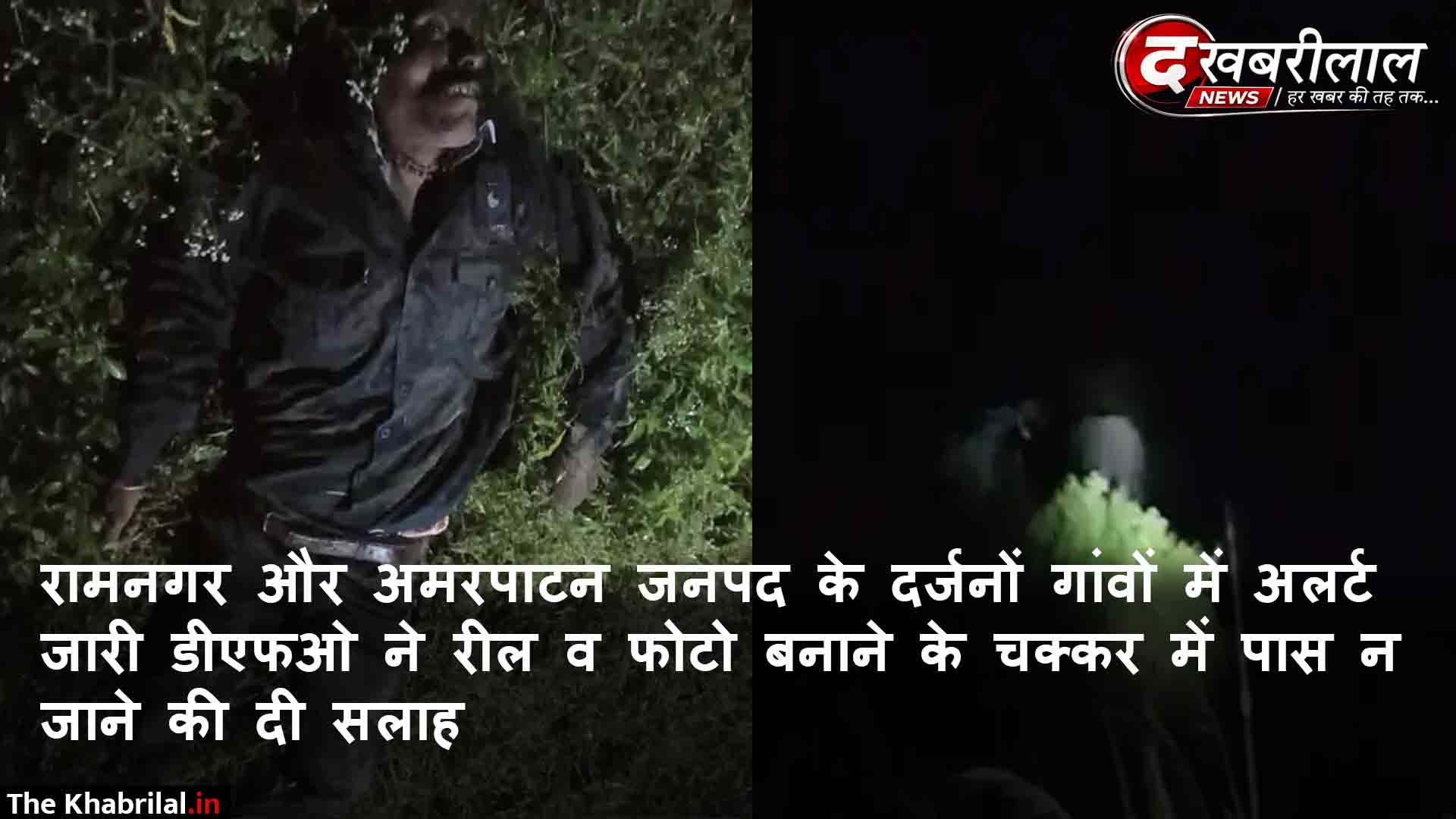 मैहर में बांधवगढ़ से आए जंगली हाथी का तांडव: बैल को बचाने निकले 50 वर्षीय किसान को कुचला, मौके पर मौत; दो मकान ढहाए, दो बकरियों की भी गई जान