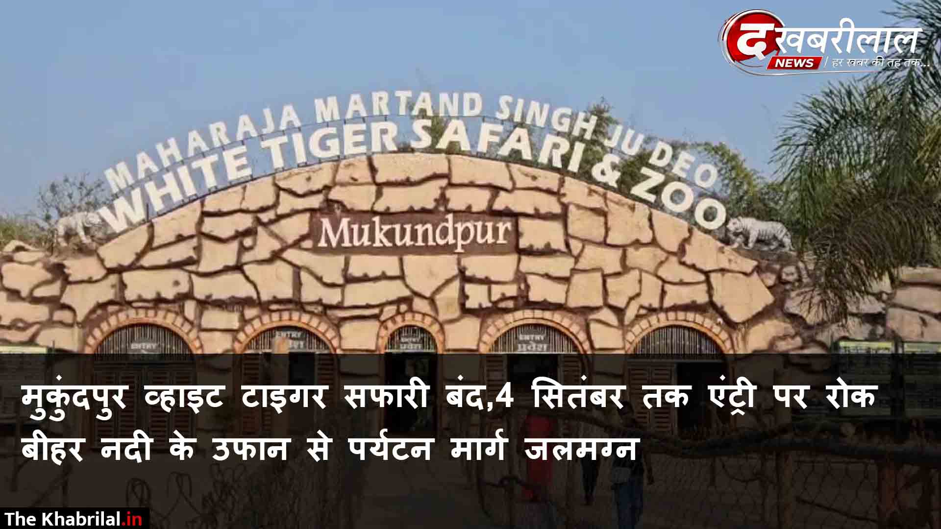 भारी बारिश और बाढ़ का असर: मुकुंदपुर व्हाइट टाइगर सफारी 4 सितंबर तक पर्यटकों के लिए बंद