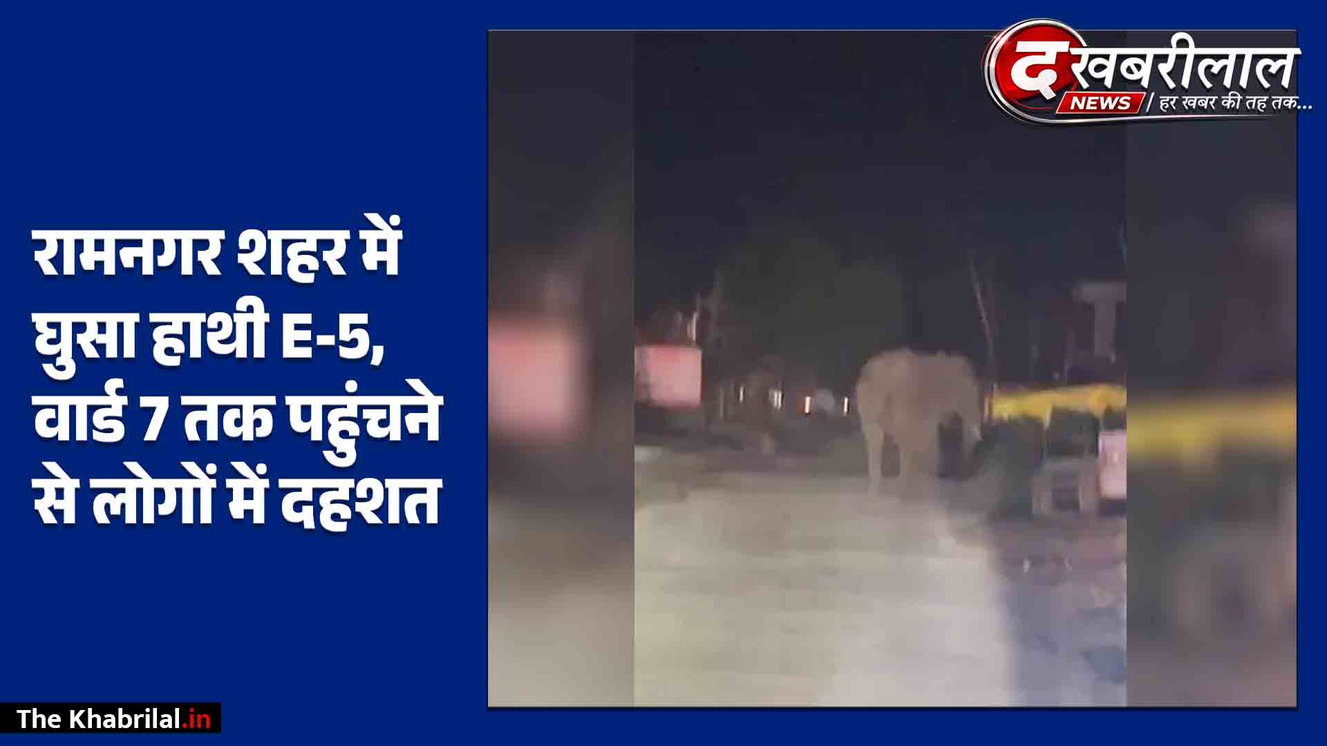 मैहर के रामनगर में जंगली हाथी ‘E-5’ की दस्तक: वार्ड-7 में घुसा, पानी टंकी के पास दिखा; इलाके में दहशत, वन विभाग मुस्तैद