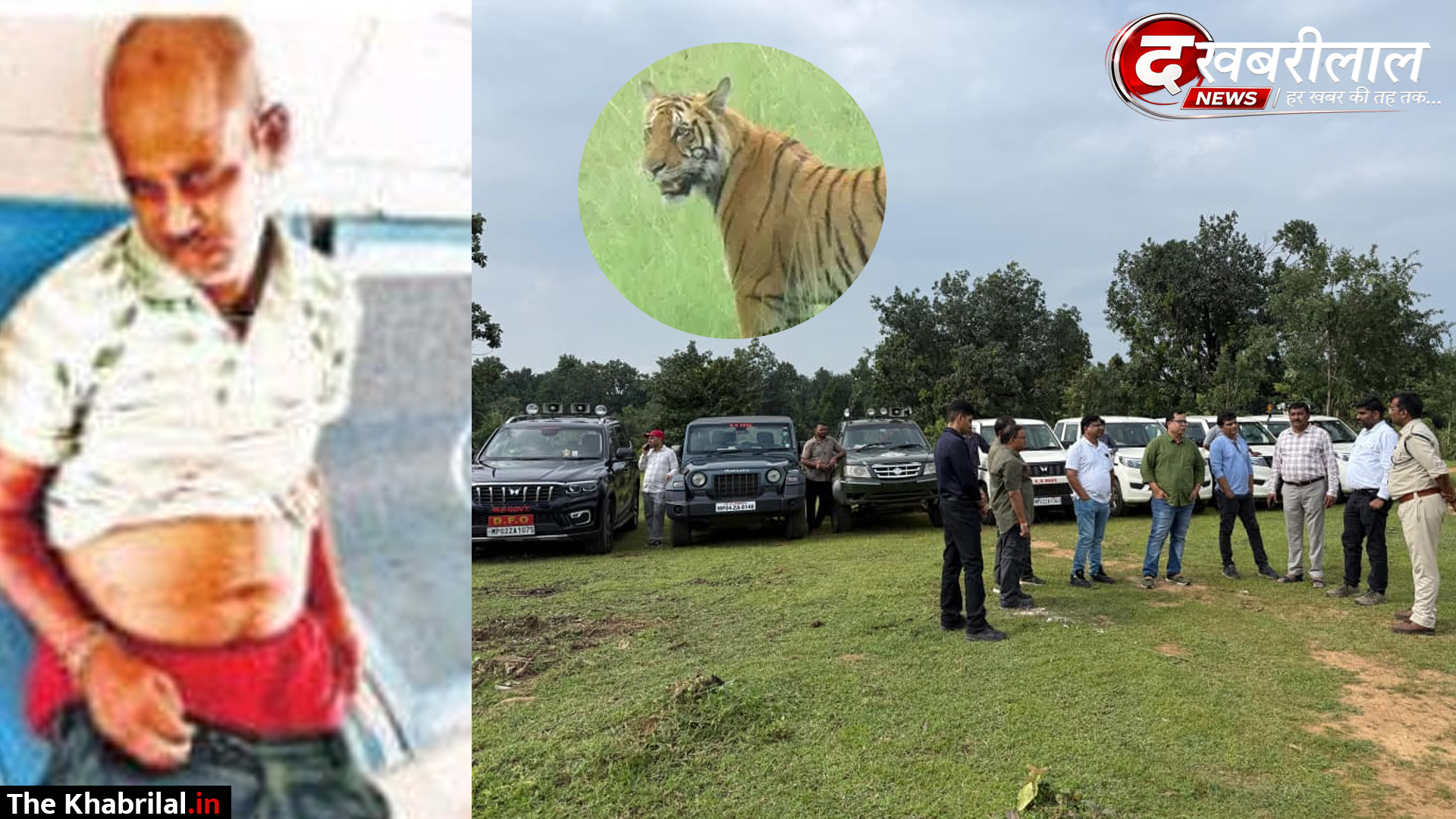 बाघ के हमले के बाद घायल ग्रामीण का अनोखा बयान, वन विभाग के अफसर भी रह गए हैरान