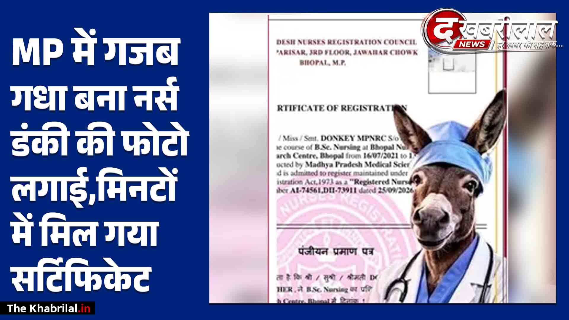 अजब MP का गजब कारनामा: गधे की फोटो पर जारी हुआ नर्सिंग लाइसेंस,पोर्टल बोला- सब ठीक है!”