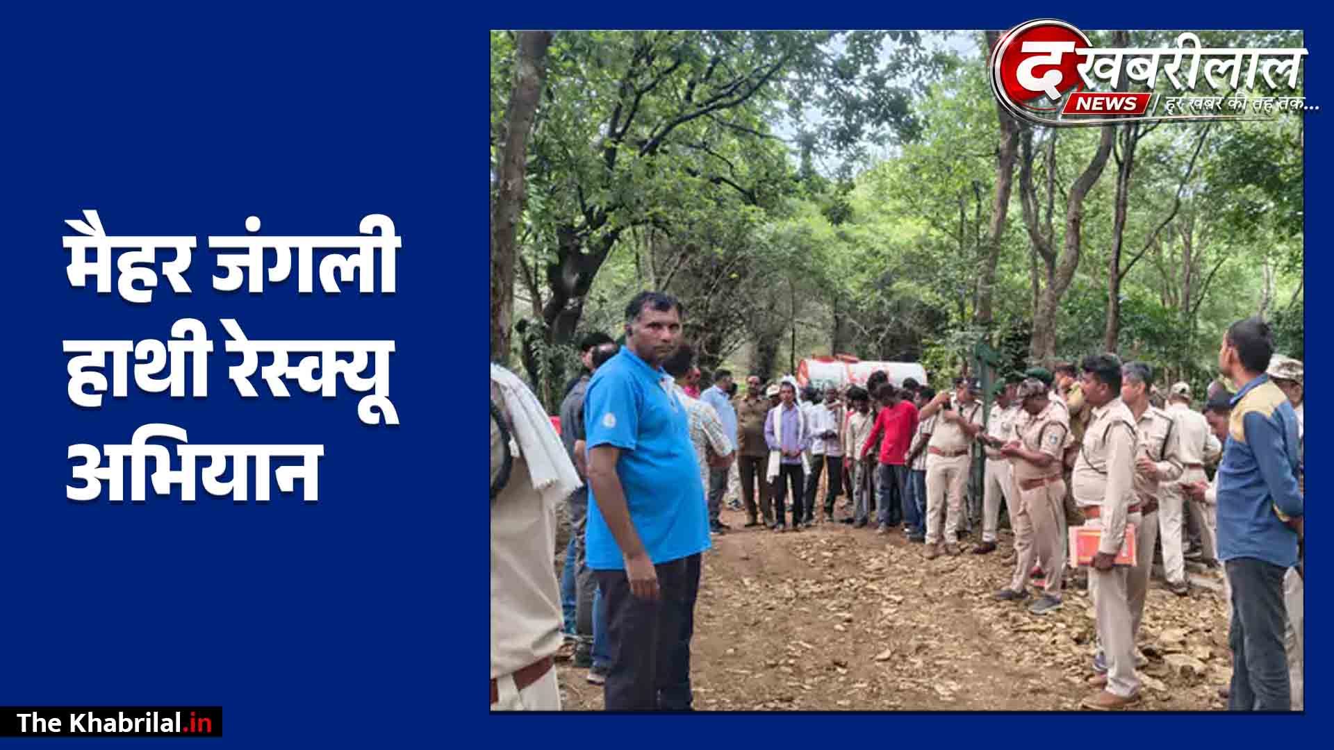 मैहर में जंगली हाथी ई-5 (C-4) को पकड़ने का रेस्क्यू ऑपरेशन फिर शुरू: बांधवगढ़ से आए 4 कुमकी हाथी गोरसरी पहाड़ी पर पहुंचे; 150 वनकर्मी व डॉक्टर तैनात
