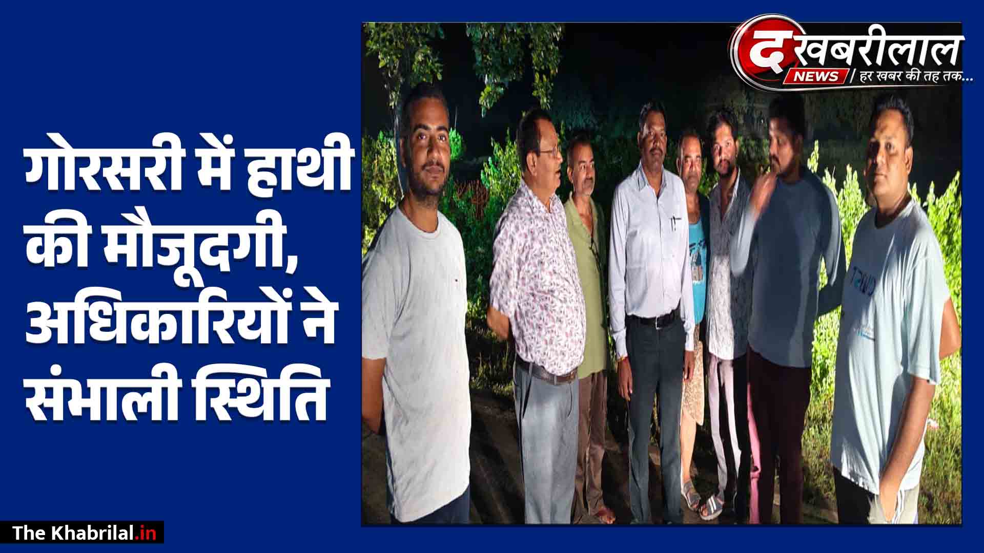 मैहर के गोरसरी गांव में घुसा हाथी: धान की फसल के बीच चराई करते दिखा गजराज; प्रशासन और वन विभाग अलर्ट, ग्रामीणों को दूर रहने की हिदायत