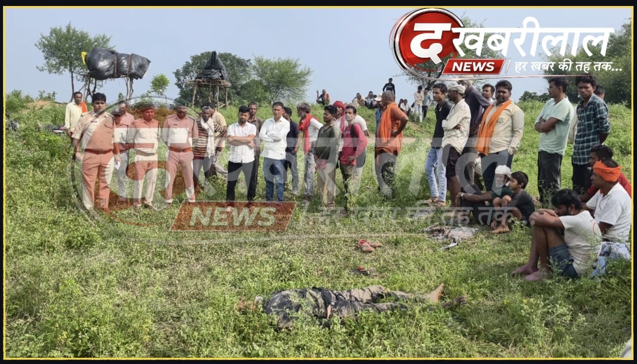 मैहर के पुरैना में हाथी हमले के बाद खेत में मौजूद पुलिसकर्मी और ग्रामीण